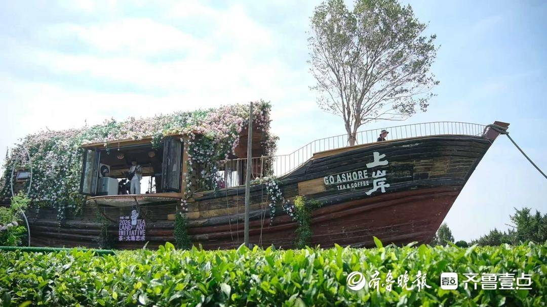 以茶为媒塑文旅新景，第三届日照市“茶·大地艺术”活动启幕