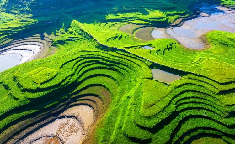 重庆忠县：江畔湿地“绘就”大地油画