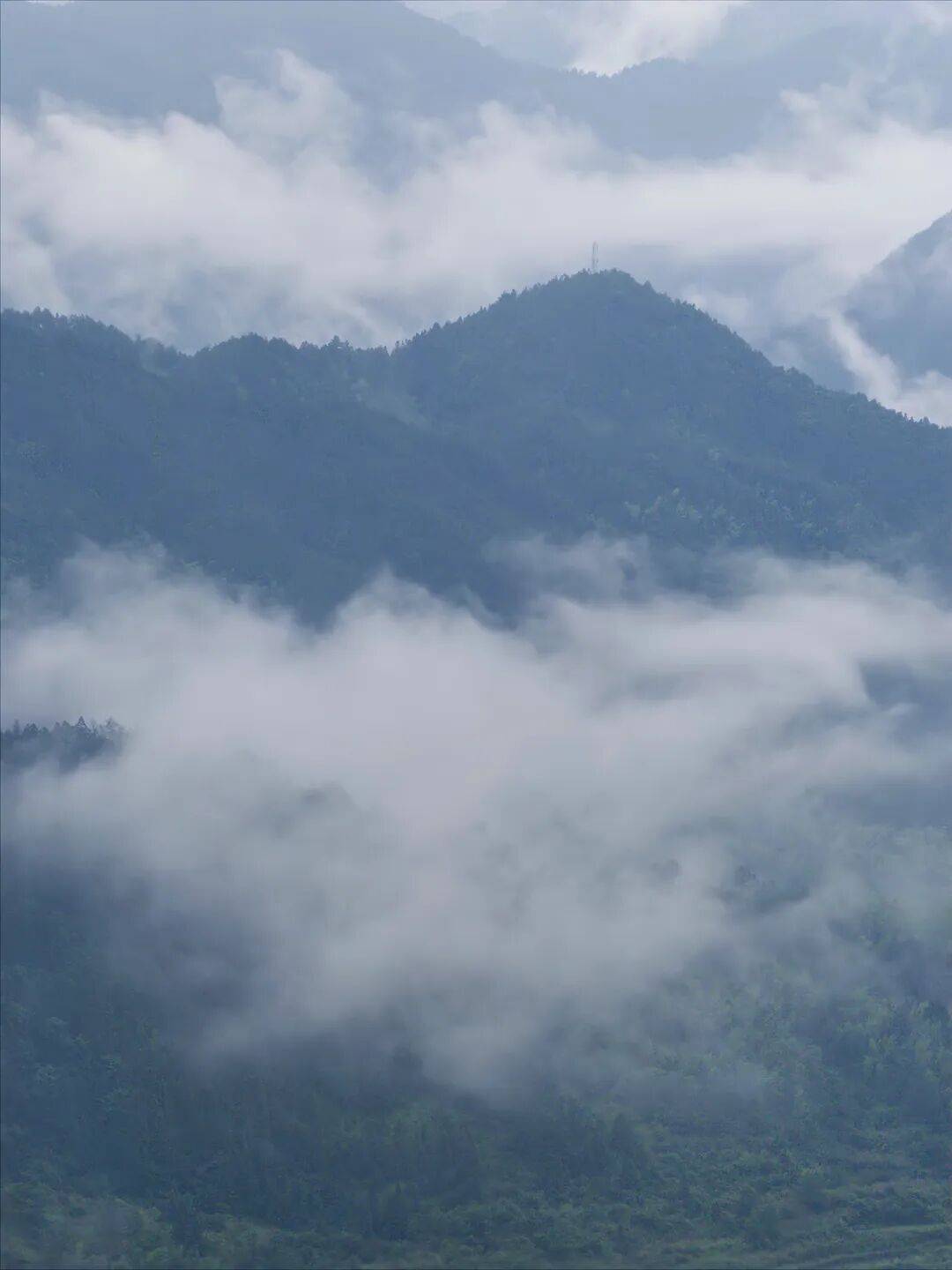 烟雨入江岭云雾揽梯田化作一幅朦胧水墨丹青