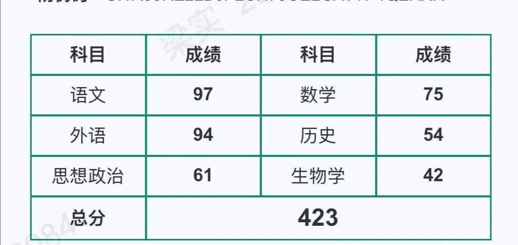 越考越差？高考钉子户梁实第30次高考423分，脸都打肿了