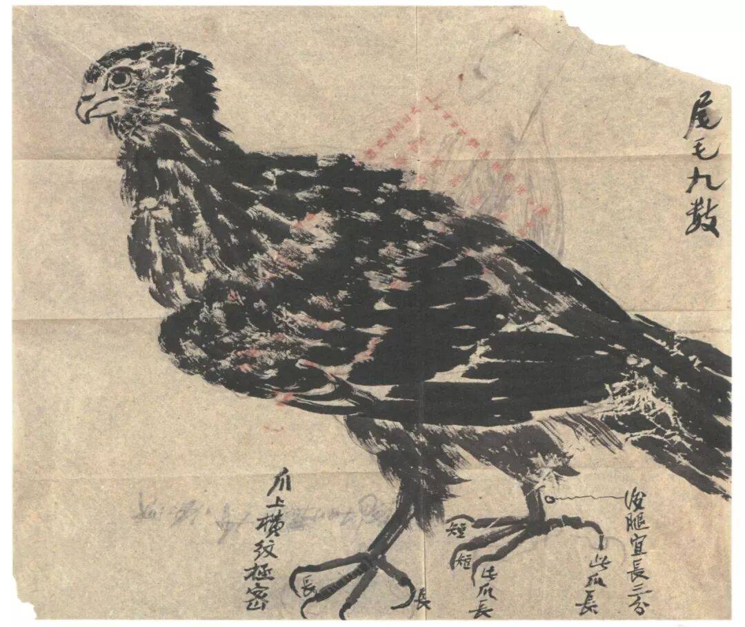 文章配图-1