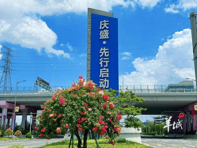 广州南沙庆盛枢纽绿化专项整治收官，补植杜鹃精修乔木消除隐患