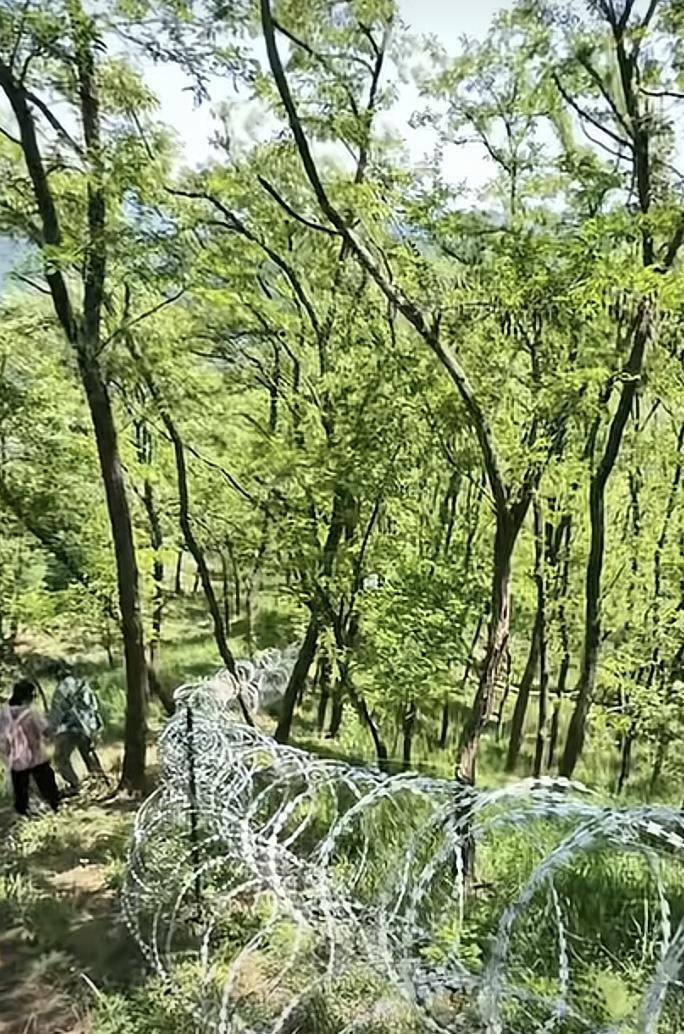 泰山刀片式隔离网拆除后将用于特定安防领域！拆除计划公布