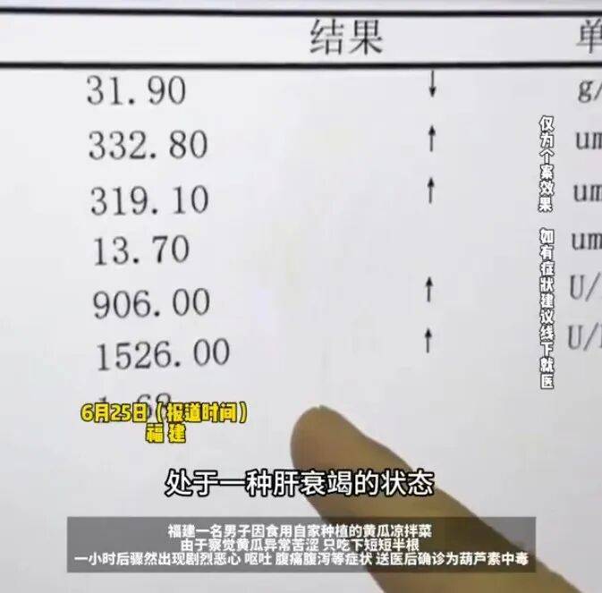 比砒霜还毒！一盘凉拌黄瓜致肝衰竭，医生建议：有这种情况直接扔