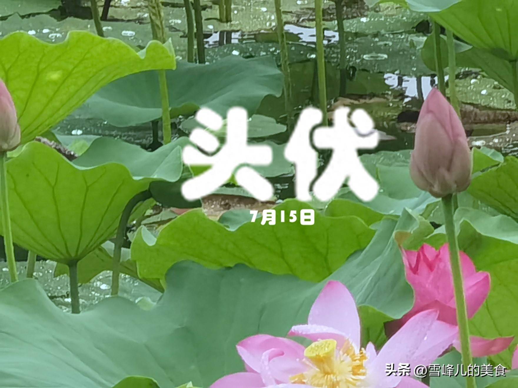 明日头伏，不论再忙牢记“吃3样，做2事，忌1事”祛湿除寒不疰夏!
