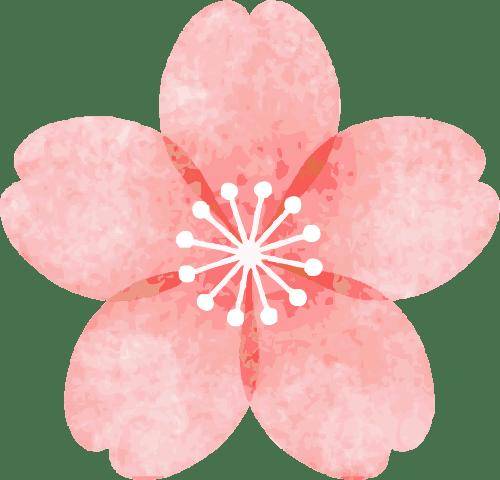 【妇产科普】主动康复：告别妇科术后焦虑，重拾女性健康底气