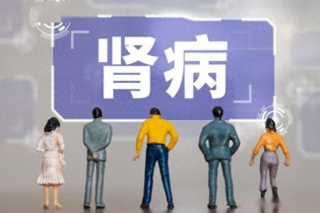肾内科常开的4种中成药，对症护肾别乱吃，肾病朋友收藏好