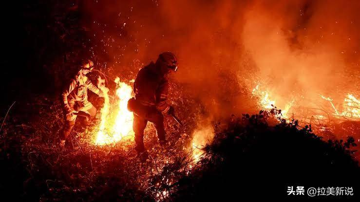 
            荷兰地质学家发现远古地狱：蕨类成灾难植物，大火反复焚烧！