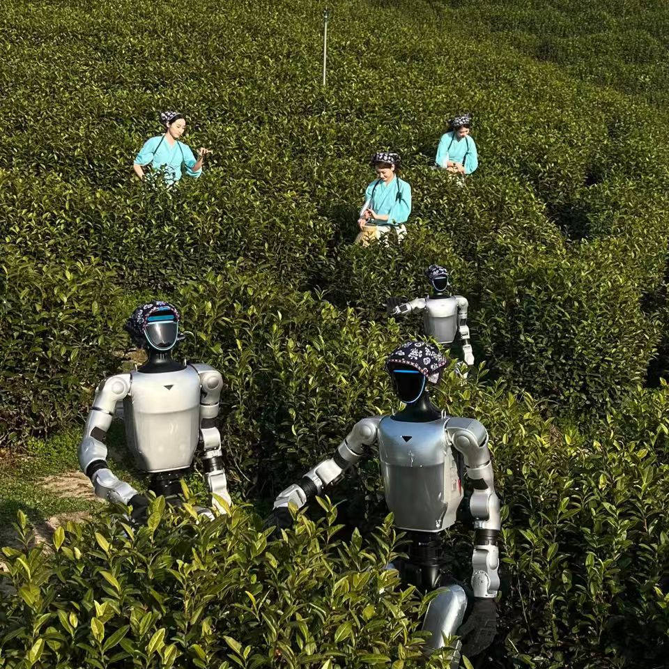 软银60亿美元洽购1X：一台未交付的人形机器人公司，估值何以至此？_OpenAI_产品_Neo