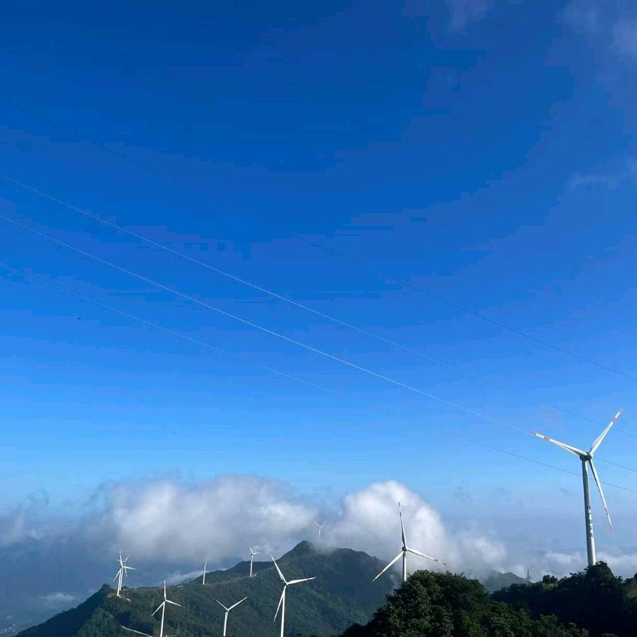 民间借贷一审代理,为何律师能影响大额纠纷结局?_利息_账户_借条