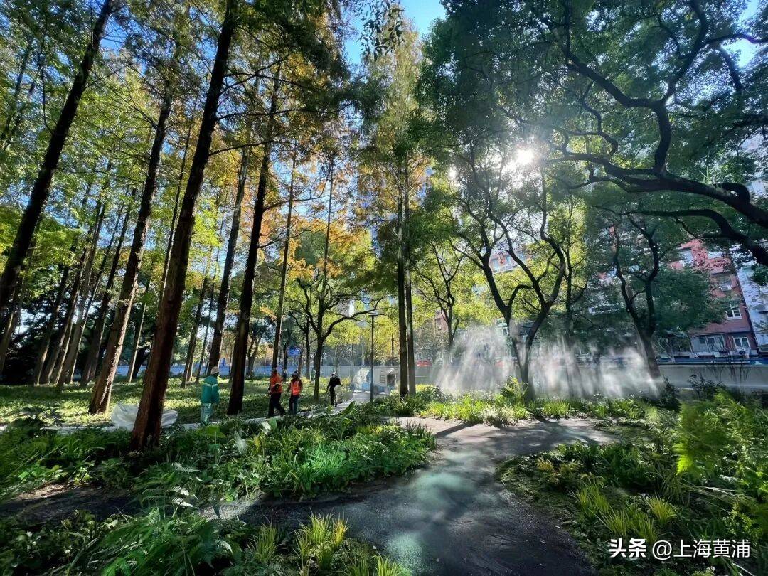 在人民广场竟然能看远古苔藓、蕨类？！这个“生态花园”厉害了，还火上了央视！
