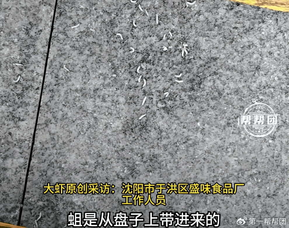 沈阳市盛味食品厂运货托盘出现腐肉和蛆虫：工厂
