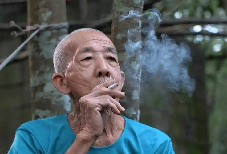 文章配图-1
