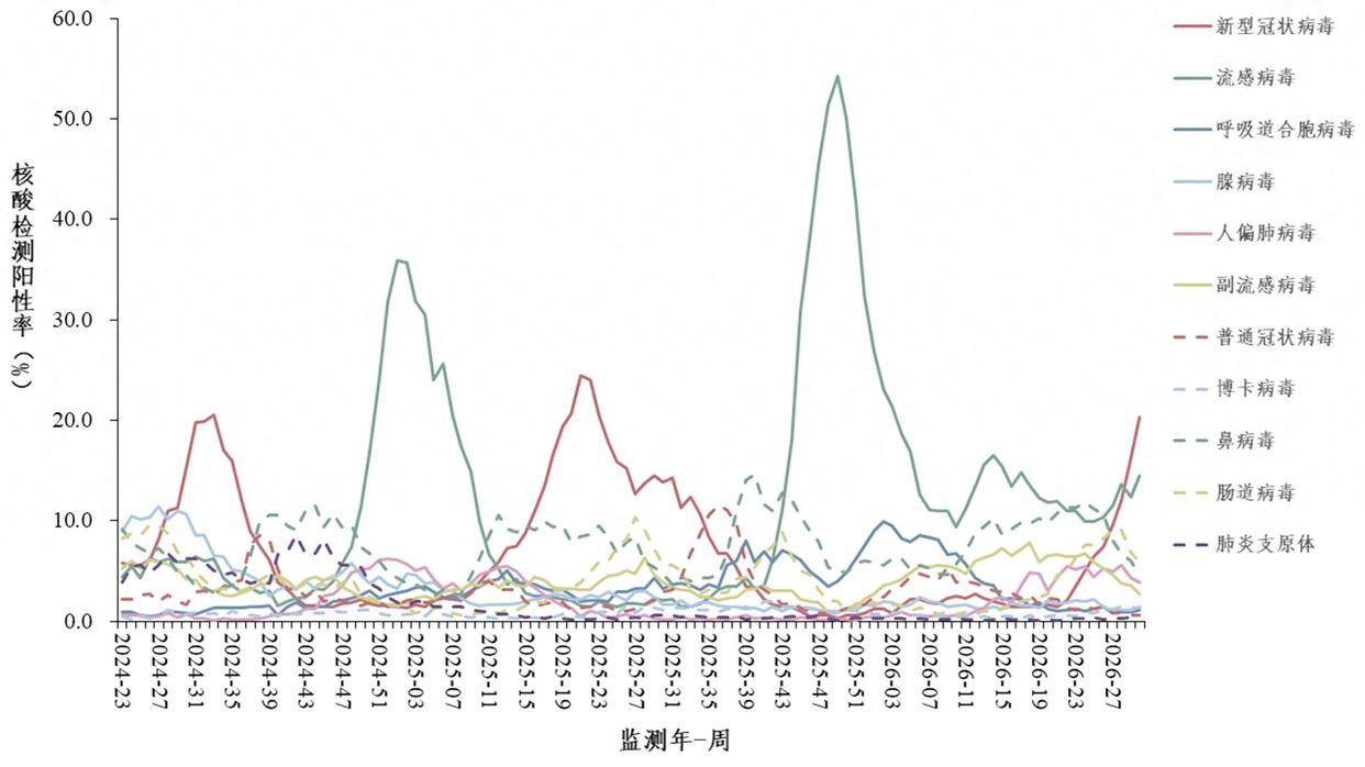 原创            新冠阳性率呈上升趋势，每5名呼吸道不适患者就有1人阳性