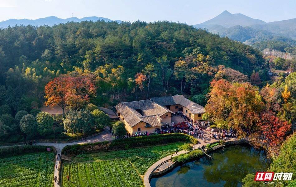 文章配图-1