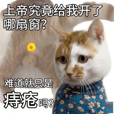 痔疮不严重，只是一坨小肉球，会自己好吗?