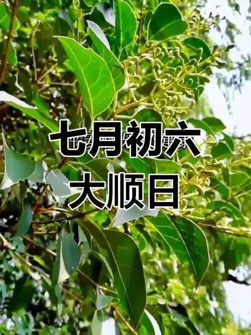 【民俗】七月初六_慕仙_农历_祭祀