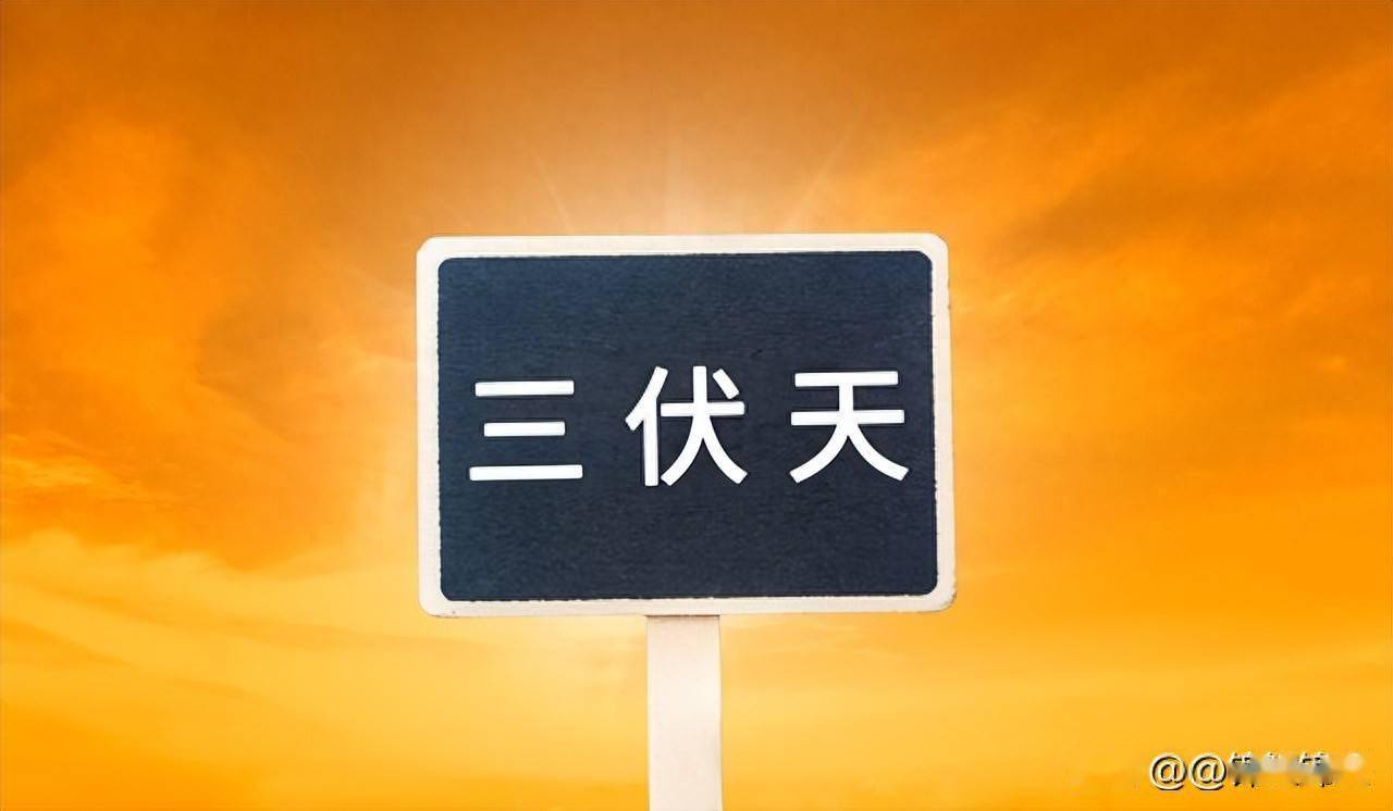 入伏，中老年多“补阳”，一周吃3次这几样，阳气充盈，安稳度夏