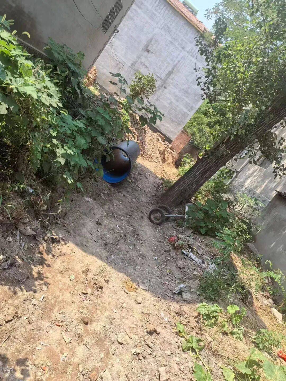 【我为群众办实事】老爷庙乡村“两委”班子履职担当实绩展播——郝寨村