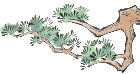 【周末靓汤】健脾祛湿、养阴润肺,来碗“百合玉竹沙参汤”_养生_生姜_清水