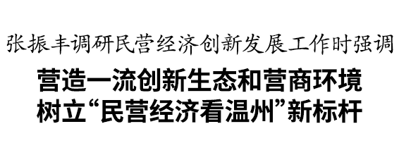 张振丰调研民营经济创新发展工作_企业_服务体系_温州