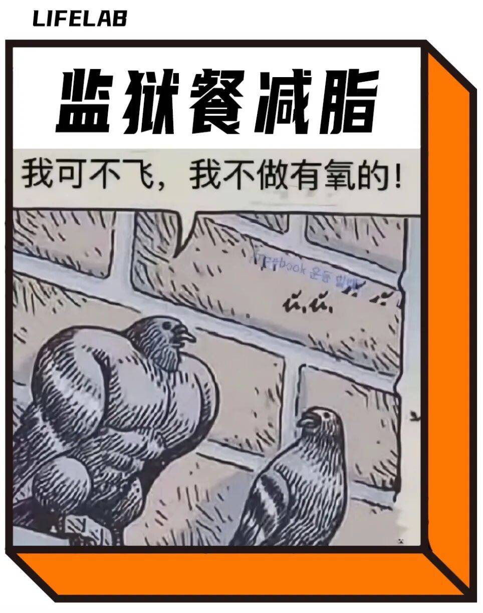 最抽象的年轻人，靠吃监狱餐减脂