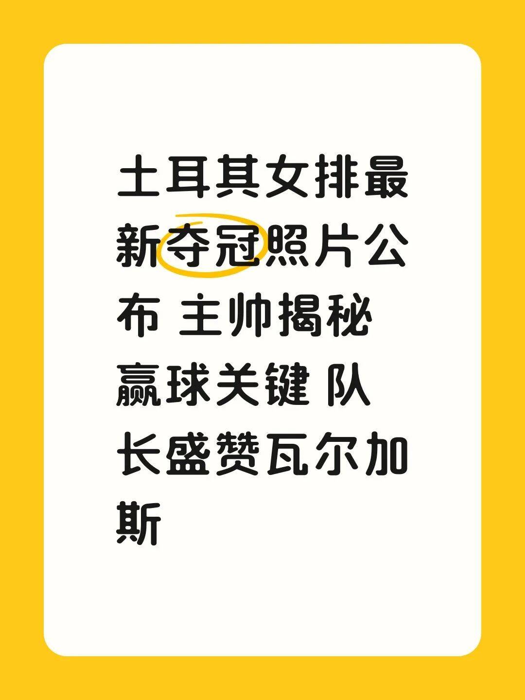 土耳其女排最新夺冠照片公布