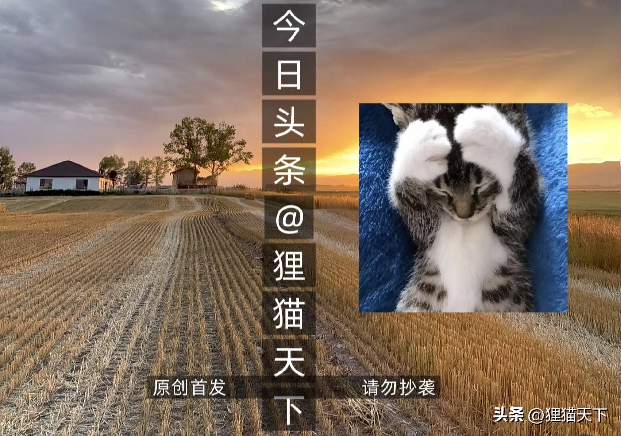 美网女单半决赛