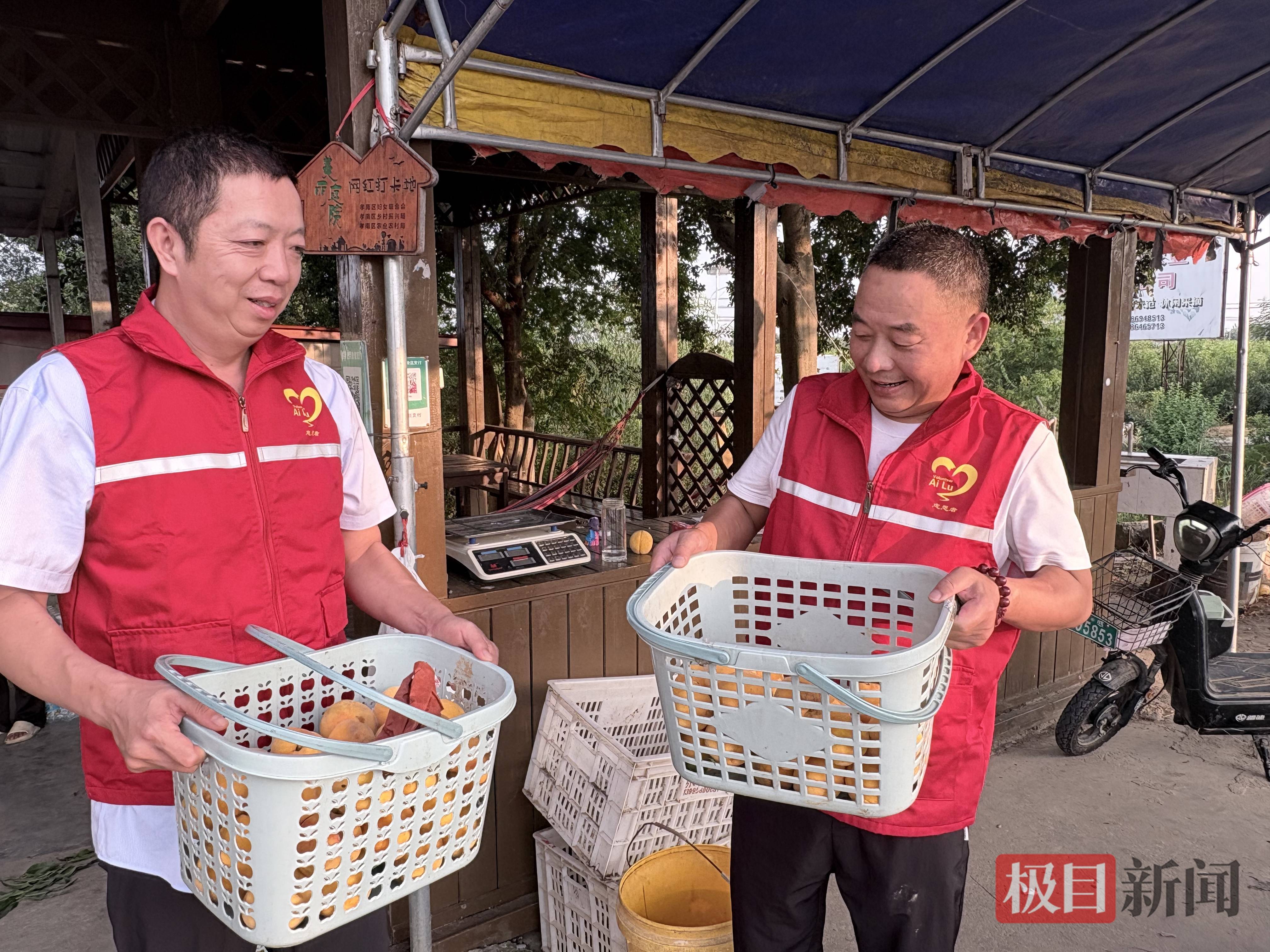 高速收费站助力“桃经济” 跑出加速度