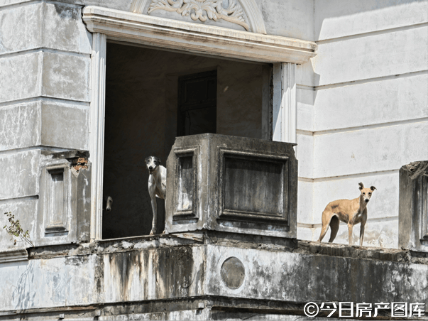 浦东“凶宅”曼德利惊魂