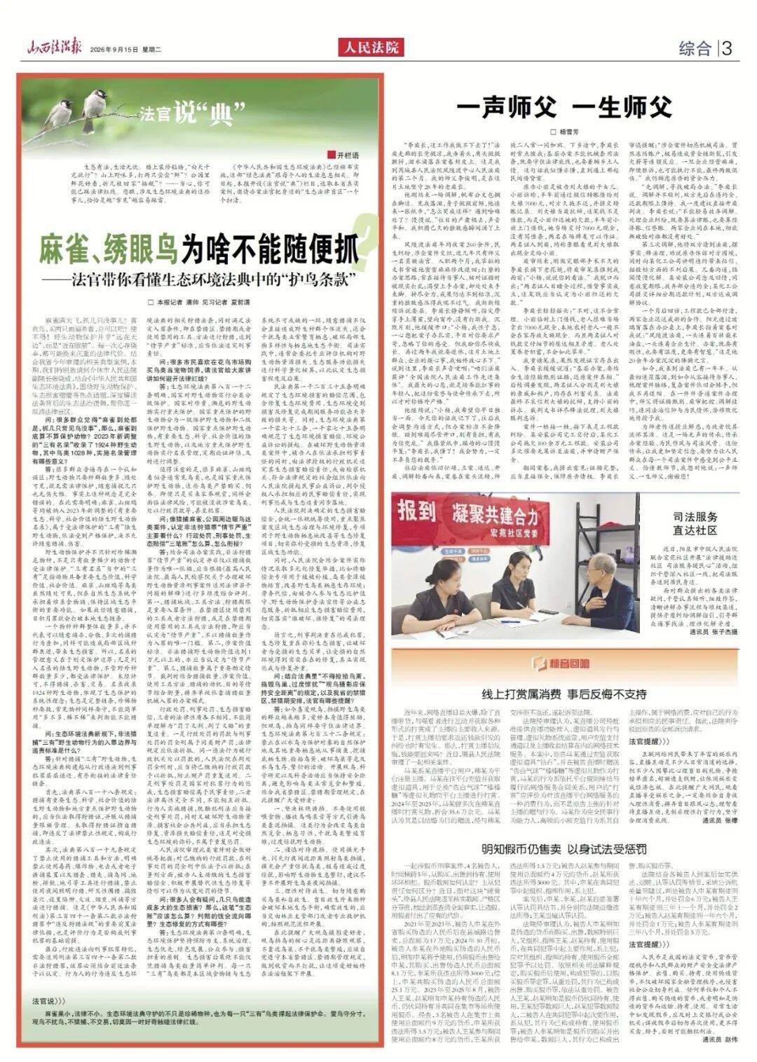 法官说“典” | 麻雀、绣眼鸟为啥不能随便抓——法官带你看懂生态环境法典中的“护鸟条款”