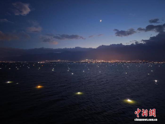 大理秋夜渔灯亮 洱海鱼类生态调控启动