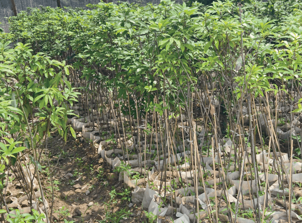 文章配圖-1