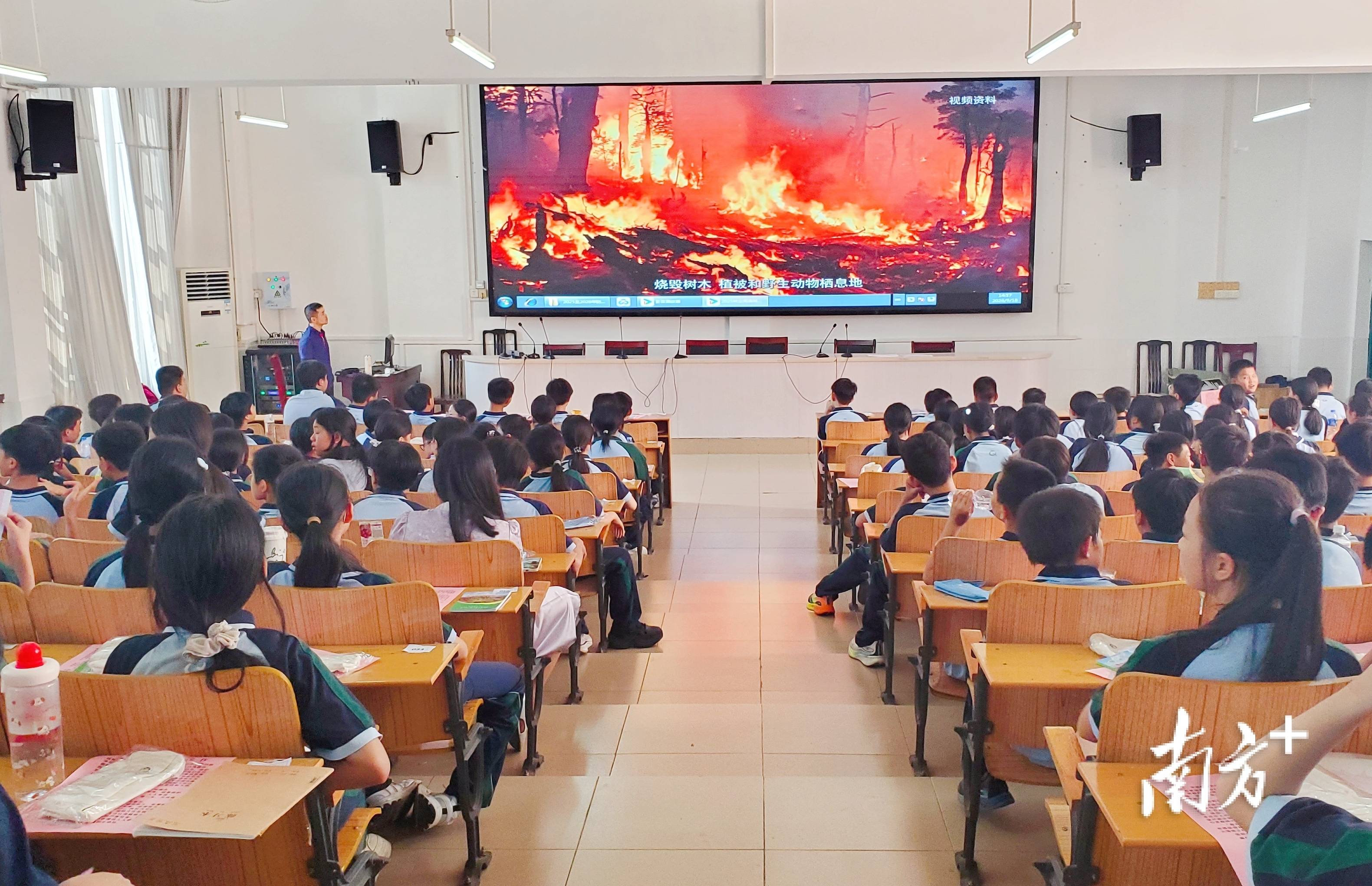 山火画面警醒少年心｜连州森林防火宣传进校园
