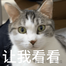 Fermi Universe Raises RMB 100M to Apply Quantum Methods to Foundation Models