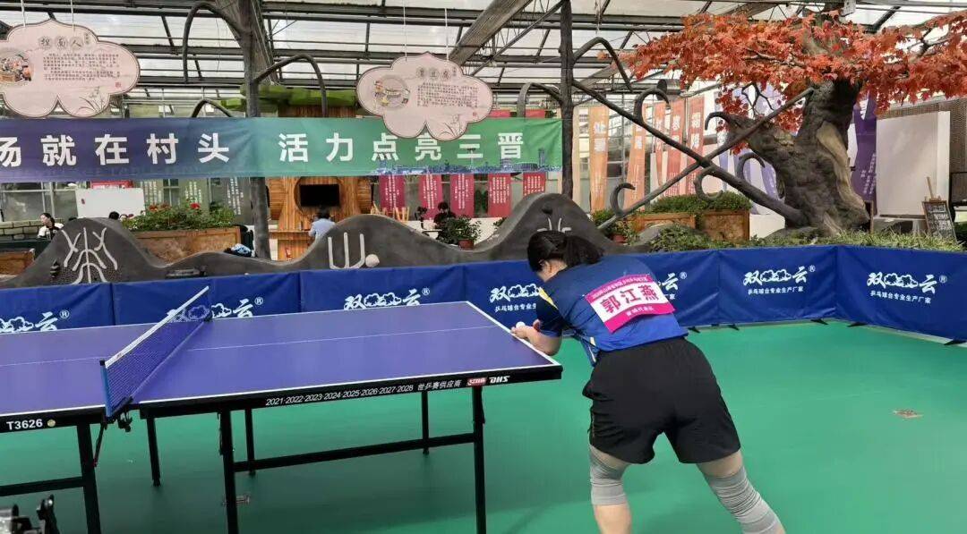 中国乒乓球队 vs 韩国乒乓球队