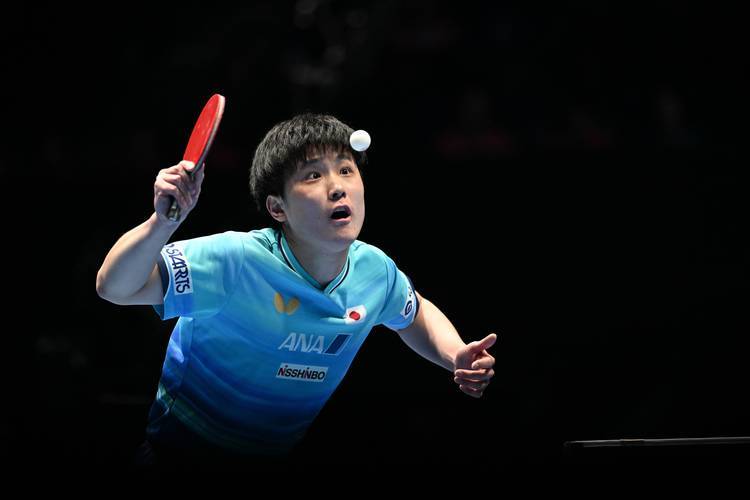 张本智和