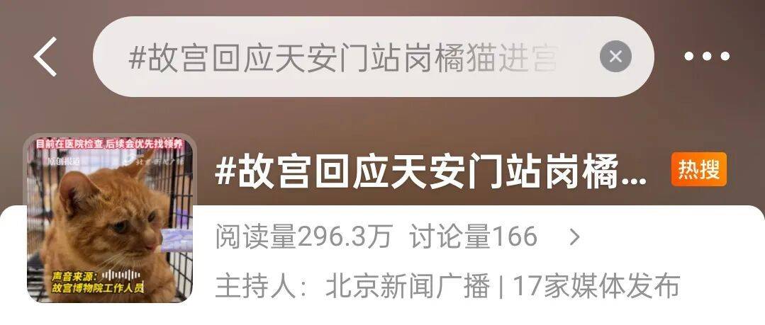天安门站岗小橘猫“进宫”了！故宫回应