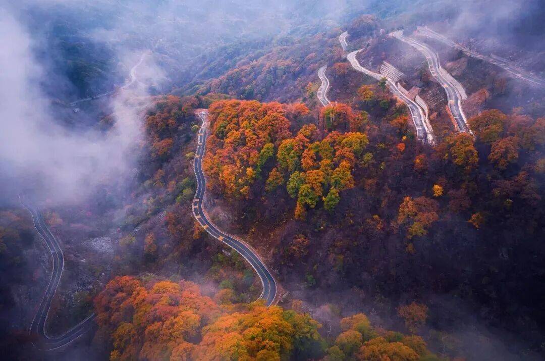 赏心悦目:四季皆景、全龄可约,六安凭什么?(图2) 赏心悦目:四季皆景、全龄可约,六安凭什么?(图2)