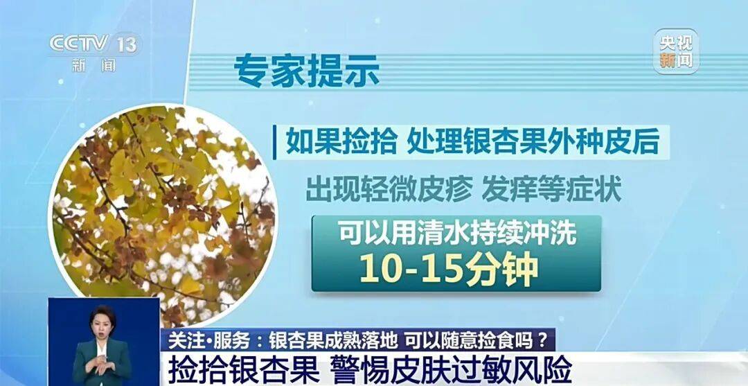 真相:冲上热搜!《知否》里银杏果有毒不是瞎编的,加热了再吃也可能中毒,千万别超这个量→(图2) 真相:冲上热搜!《知否》里银杏果有毒不是瞎编的,加热了再吃也可能中毒,千万别超这个量→(图2)