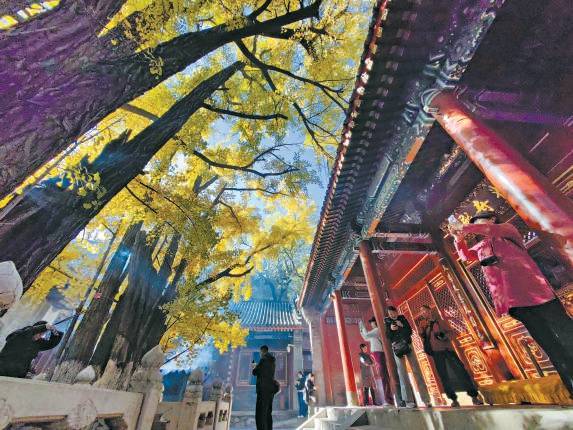 北京赏秋去哪？金海湖坡峰岭绿心八大处，看彩叶最佳路线(图2)