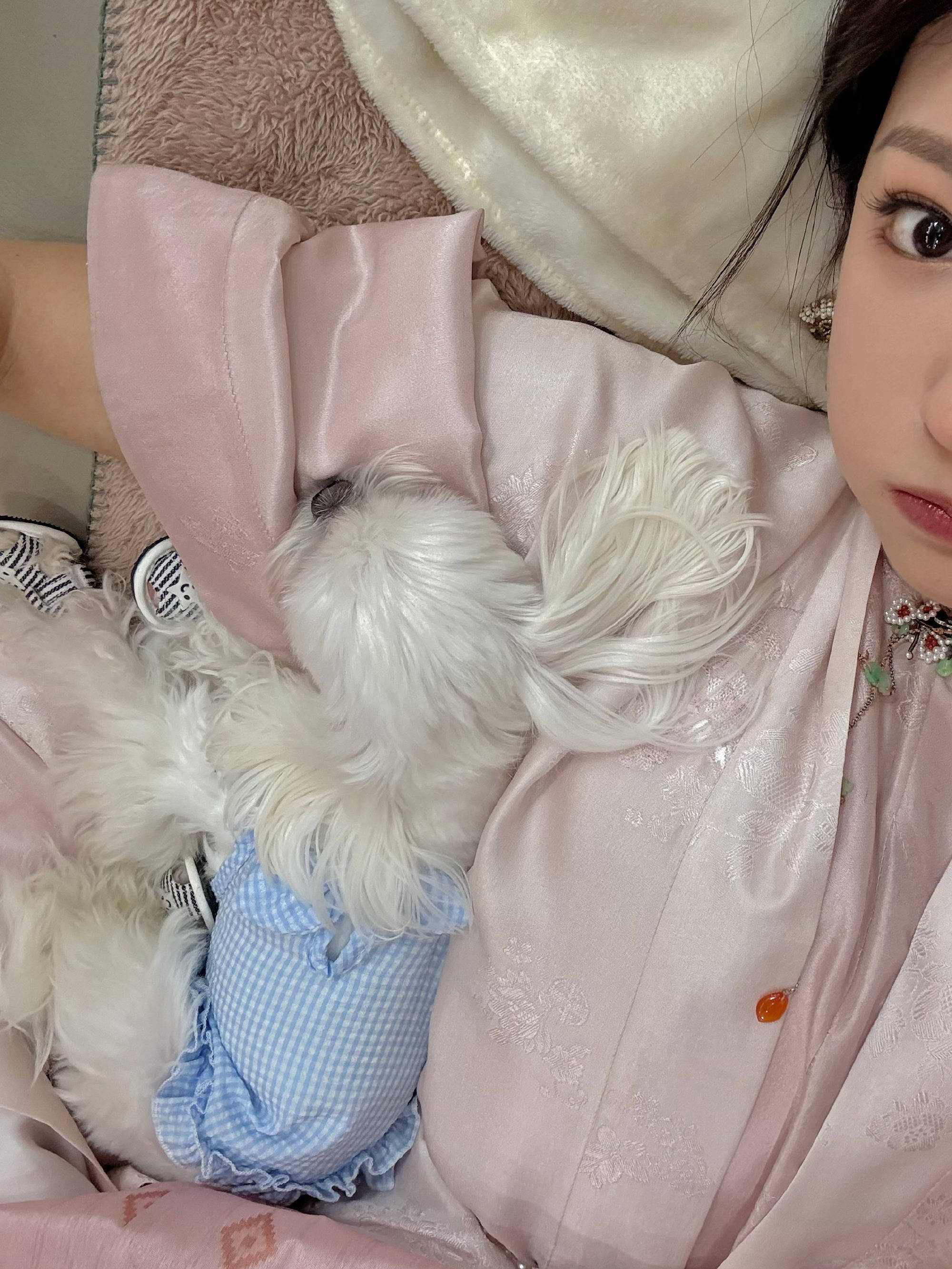 程潇共享剧组随拍照！穿古装抱着宠物狗玩耍好餍足